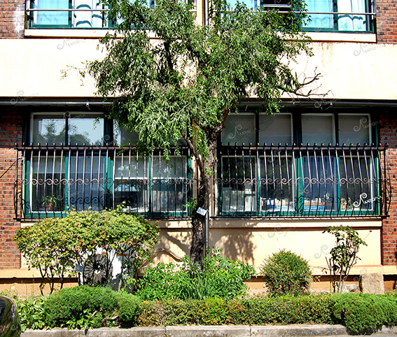 2009-09 중암중학교 